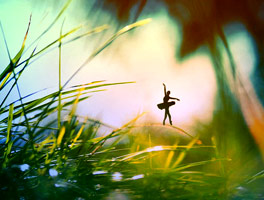 在线轰炸电话网页版免费测试