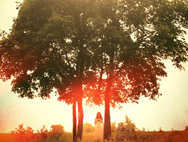 短信验证码轰炸网址免费