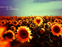 短信网页在线轰炸